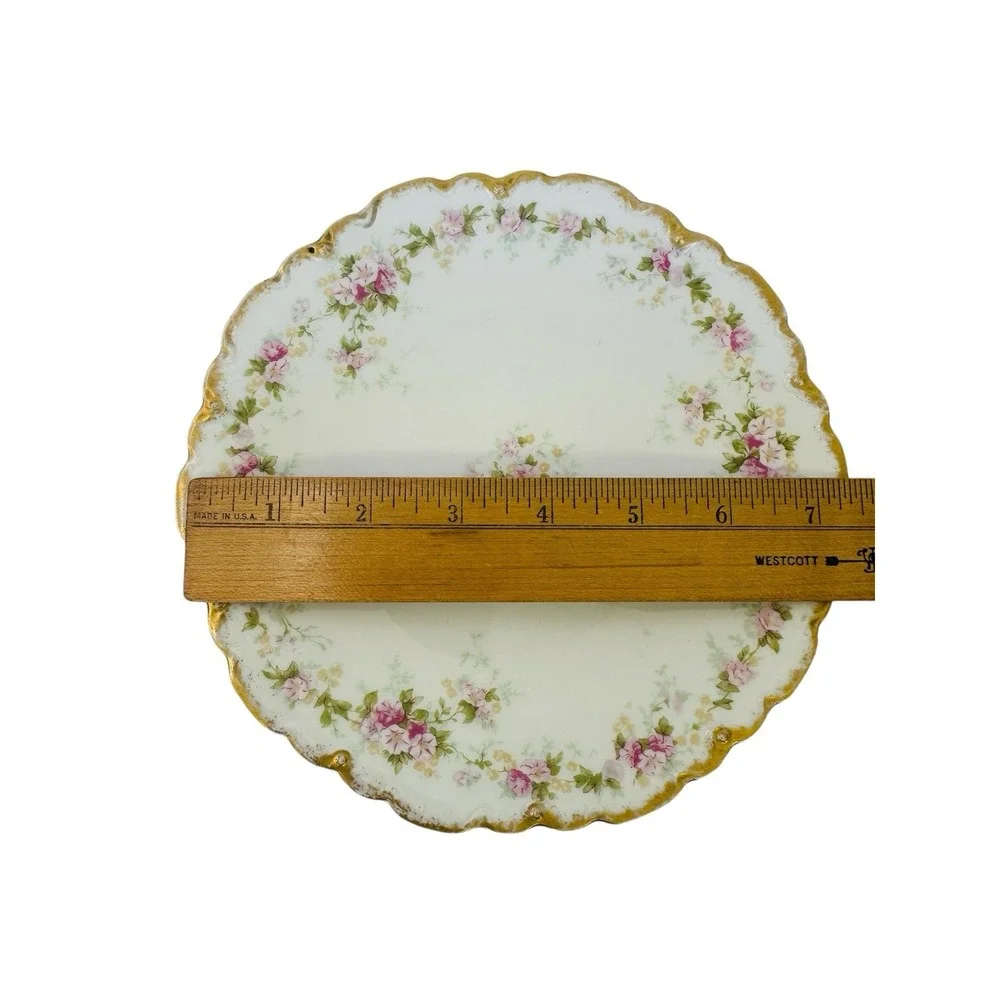 Theodore‎ Haviland Limoges Two Salad Plates Schleiger 855B France Vintage